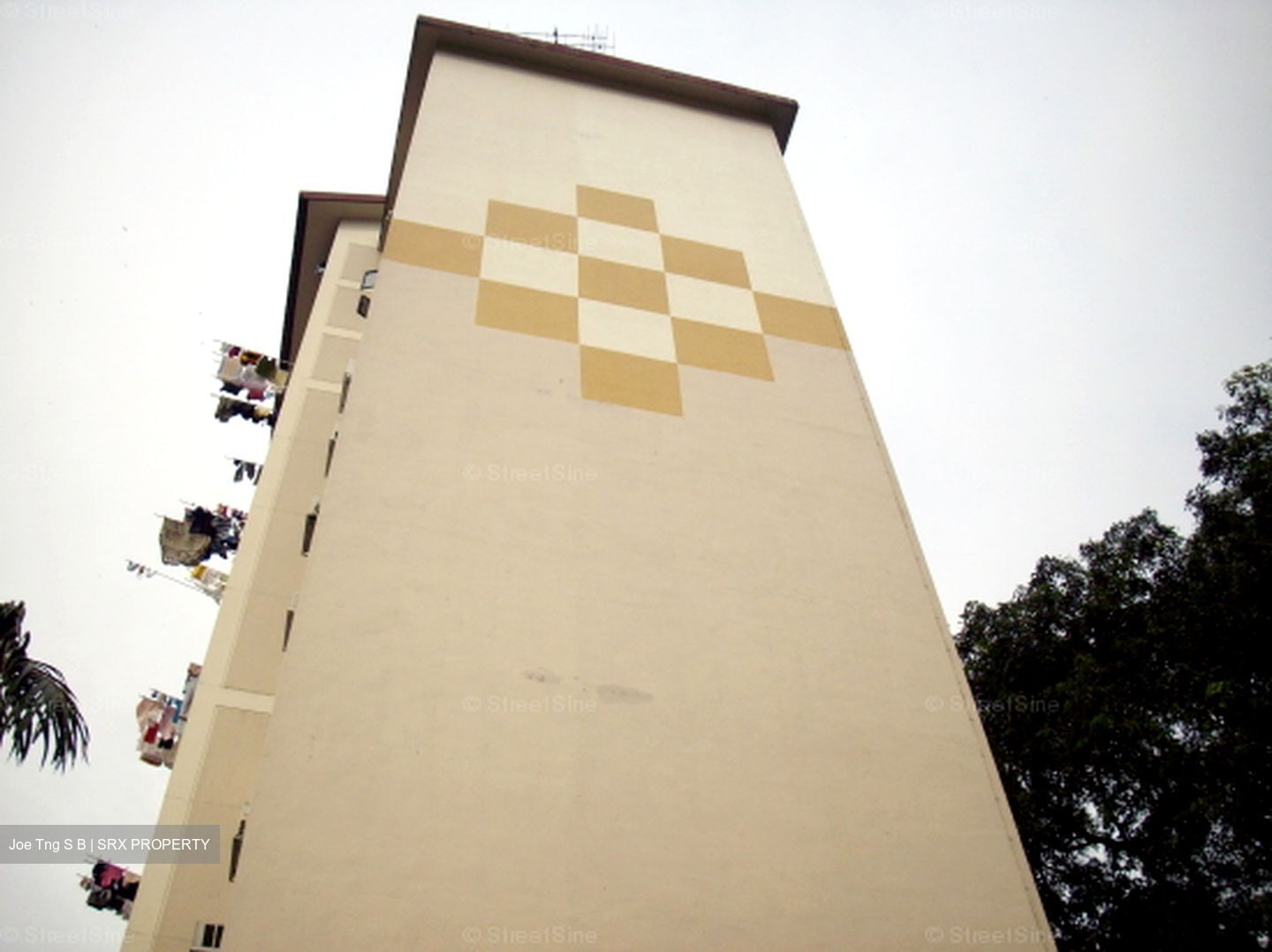 Blk 10 Holland Vista (Queenstown), HDB 4 Rooms #558835631